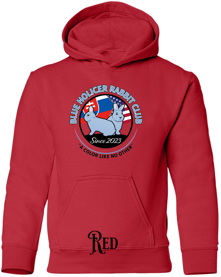 Blue Holicer Logo YOUTH Hoodie