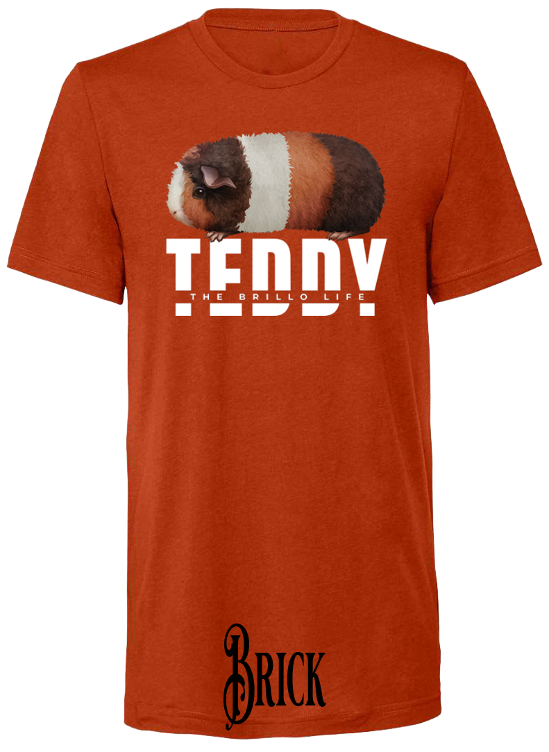 Short Sleeve T-Shirt-The Brillo Life