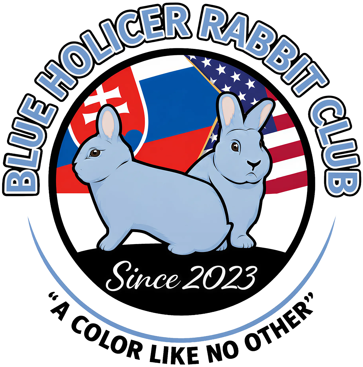 Blue Holicer Club Gear