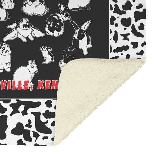 Sherpa Blanket 101 Brokens
