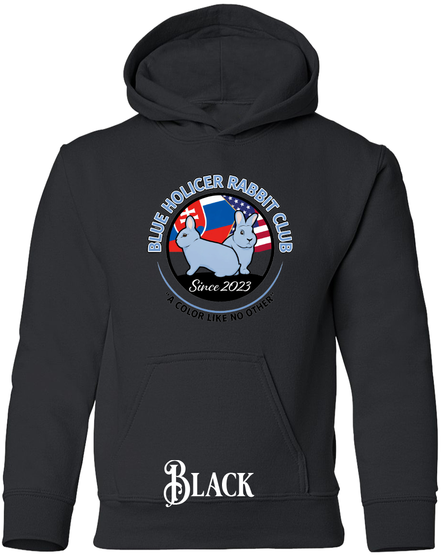 Blue Holicer Logo YOUTH Hoodie