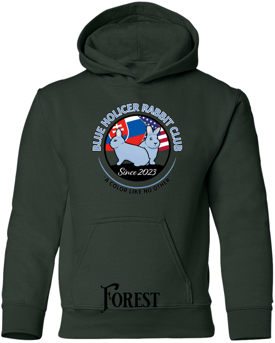 Blue Holicer Logo YOUTH Hoodie