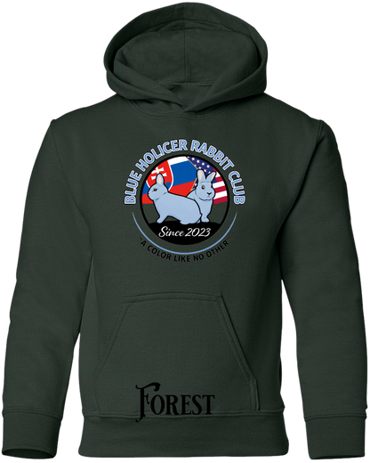 Blue Holicer Logo YOUTH Hoodie