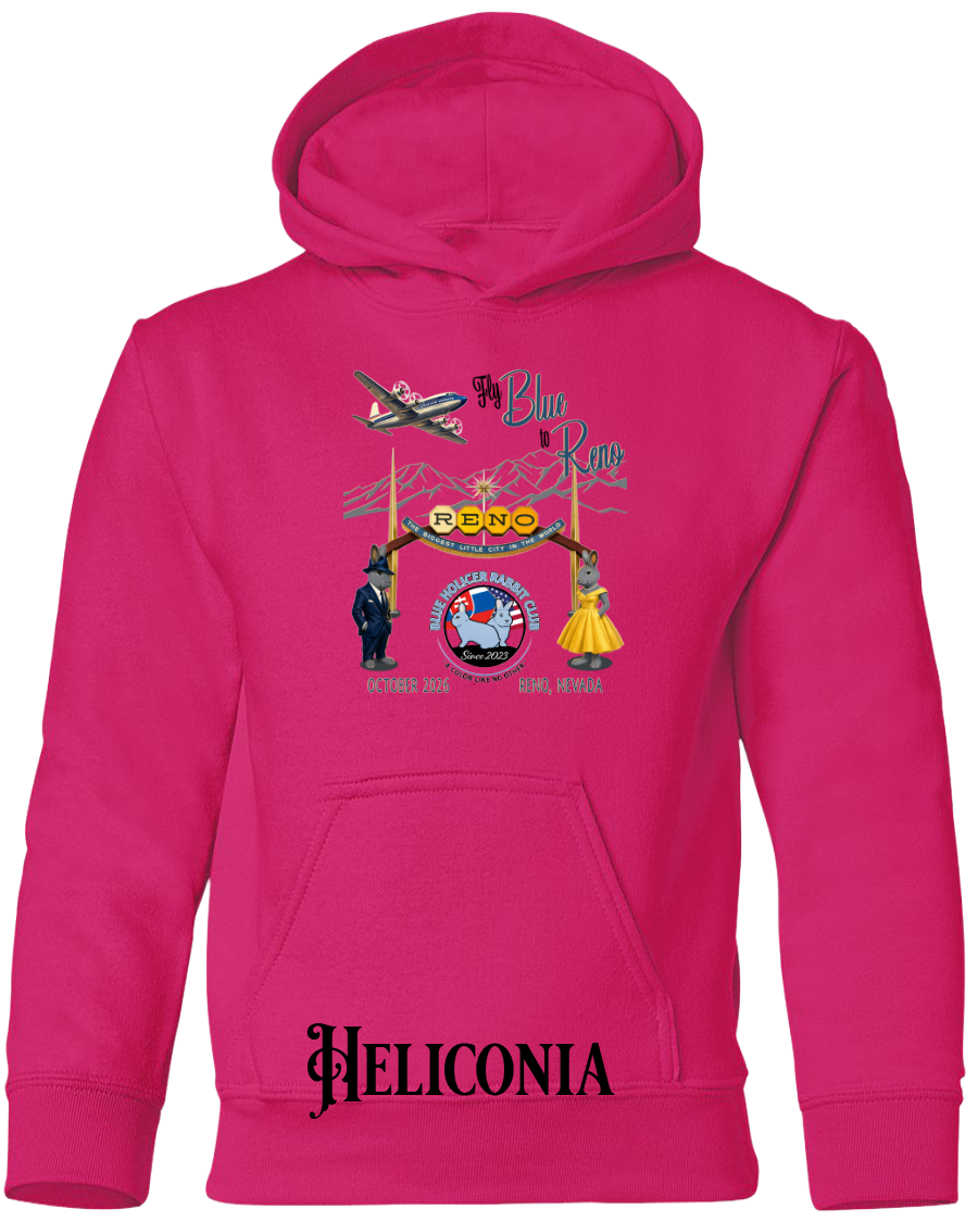 Blue Holicer Fly Blue to Reno YOUTH Hoodie