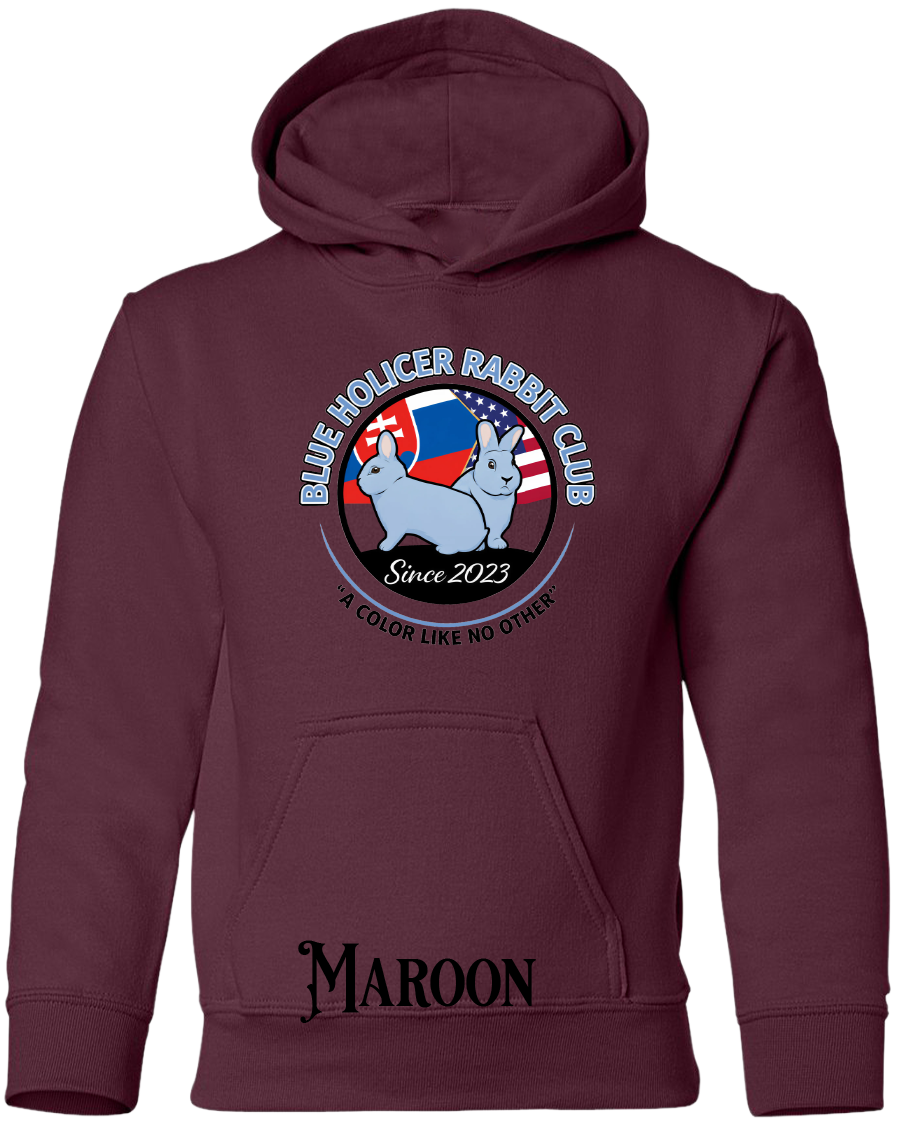 Blue Holicer Logo YOUTH Hoodie