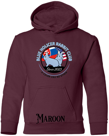 Blue Holicer Logo YOUTH Hoodie