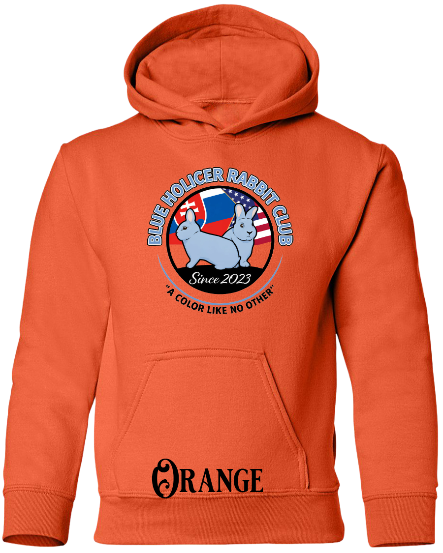 Blue Holicer Logo YOUTH Hoodie