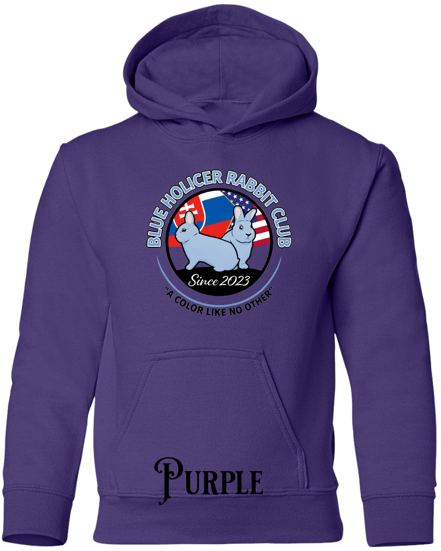 Blue Holicer Logo YOUTH Hoodie