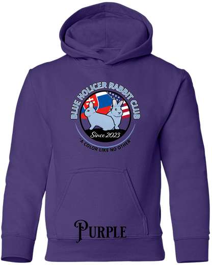 Blue Holicer Logo YOUTH Hoodie
