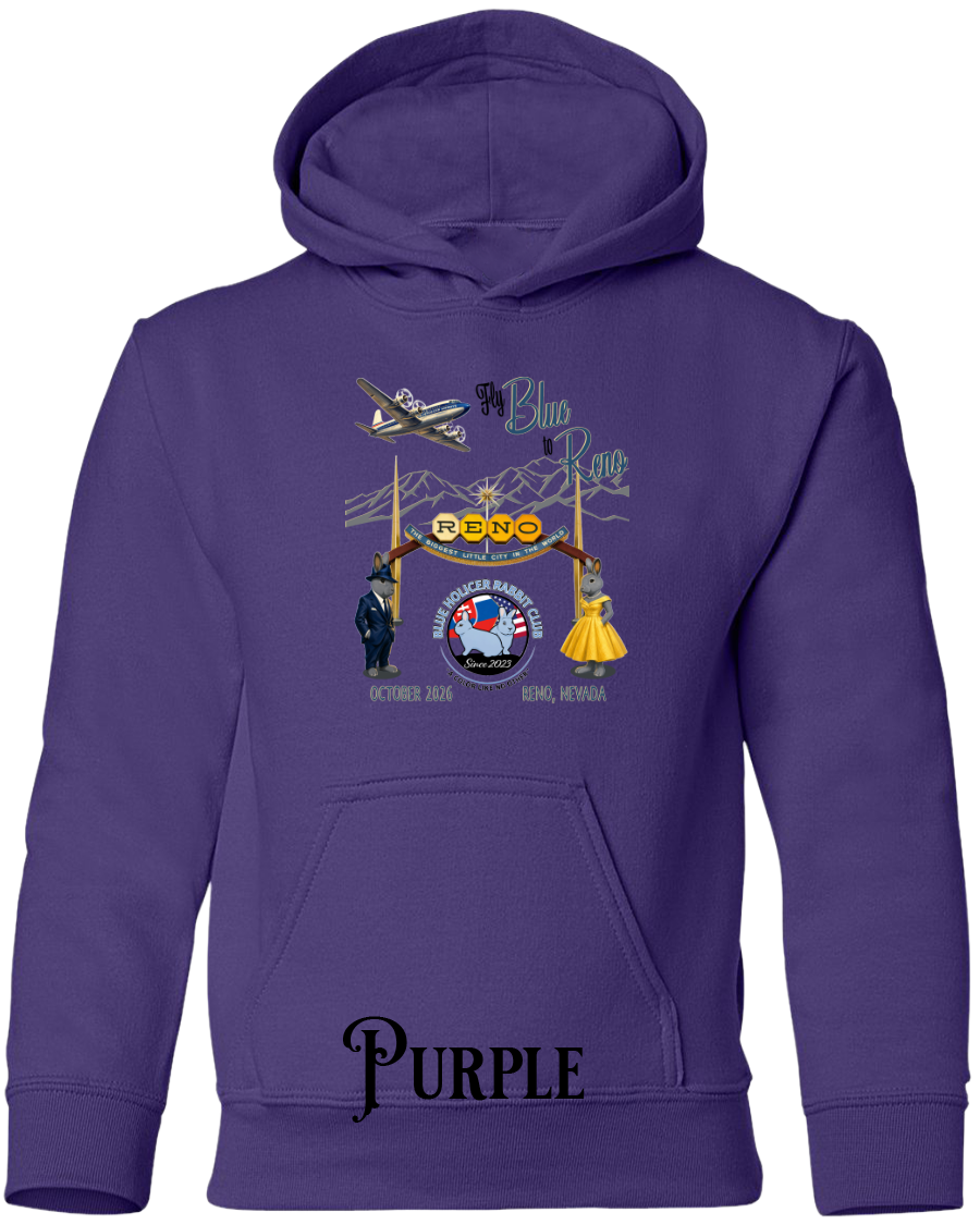 Blue Holicer Fly Blue to Reno YOUTH Hoodie