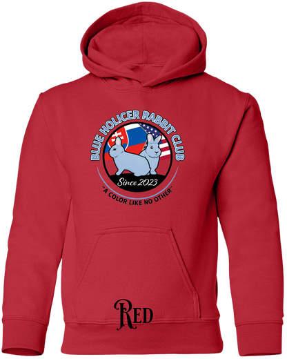 Blue Holicer Logo YOUTH Hoodie