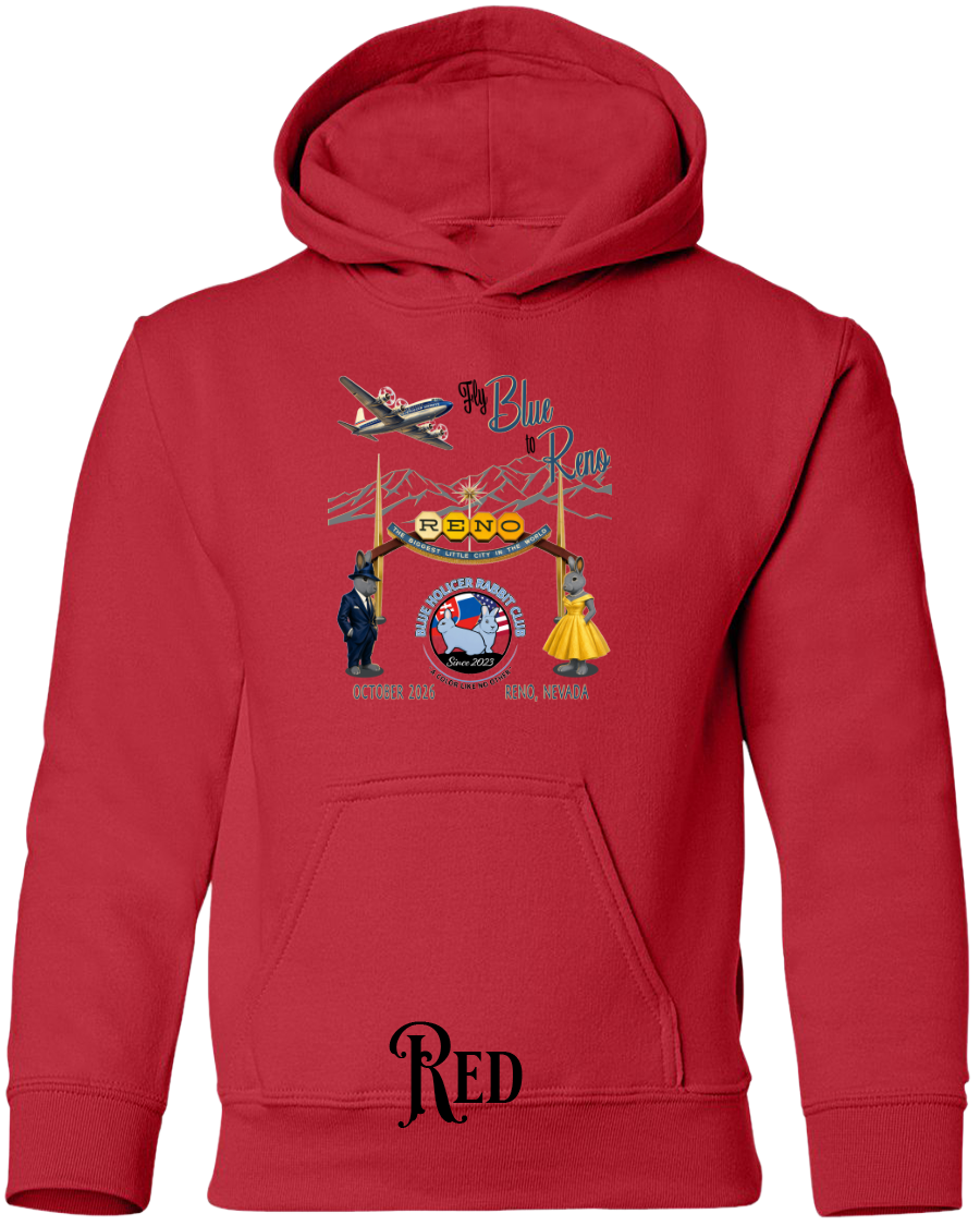 Blue Holicer Fly Blue to Reno YOUTH Hoodie