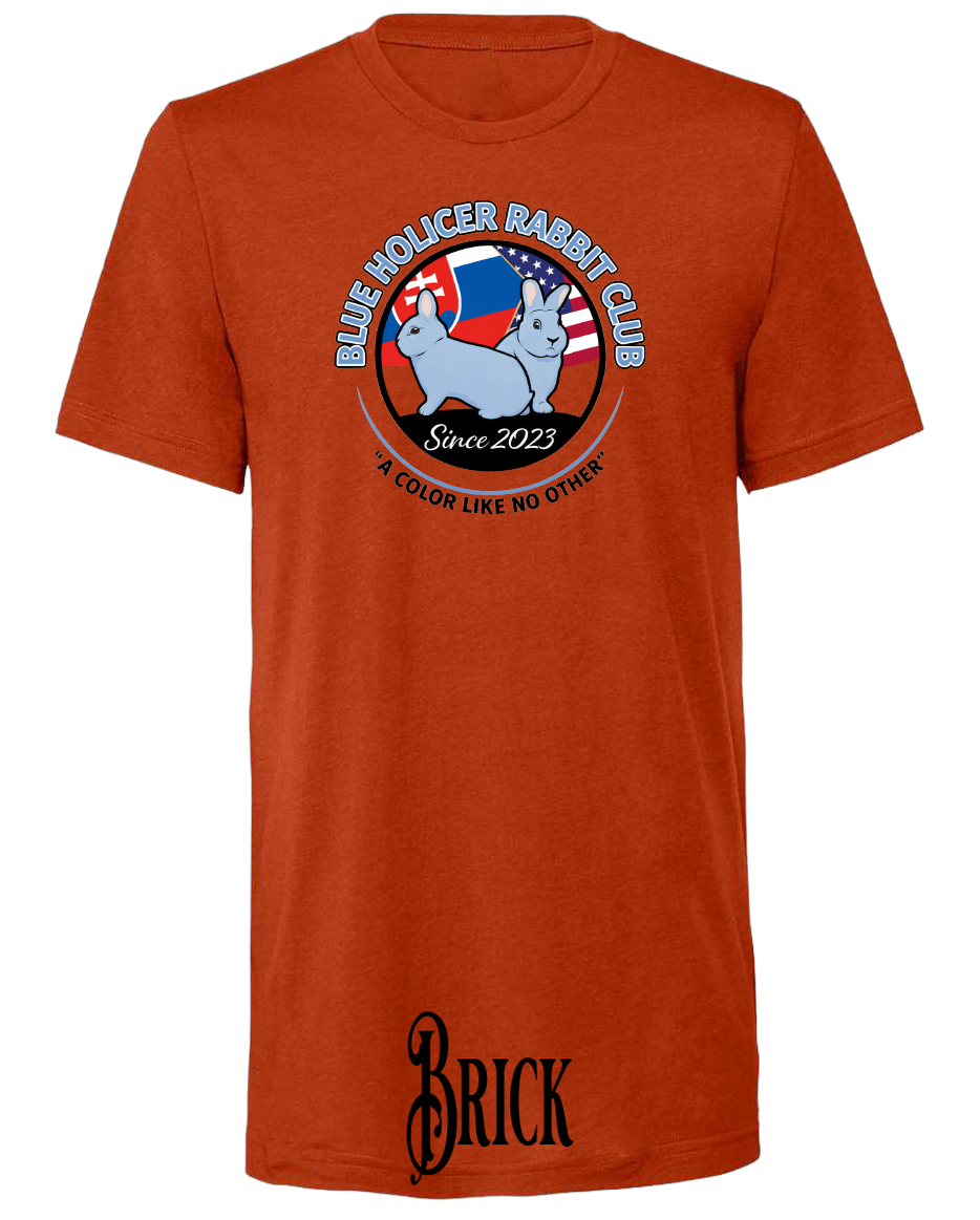 Blue Holicer Logo T-Shirt