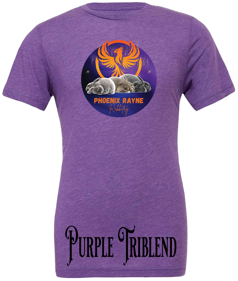 Phoenix Rayne Shirt