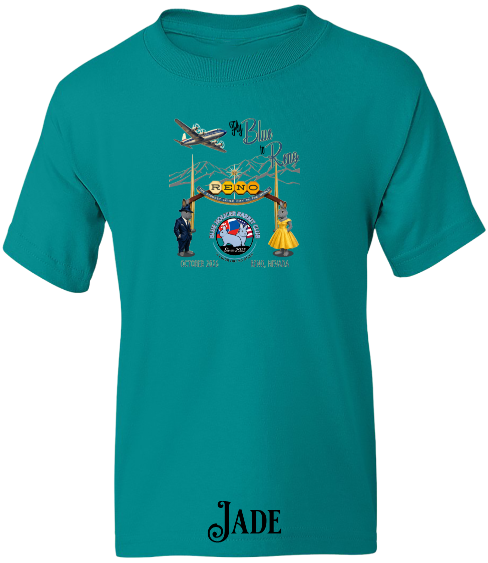 Blue Holicer Fly Blue to Reno YOUTH T-Shirt