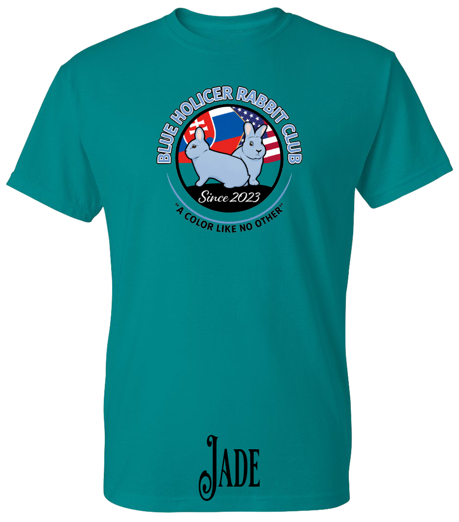 Blue Holicer Logo PLUS SIZE T-Shirt