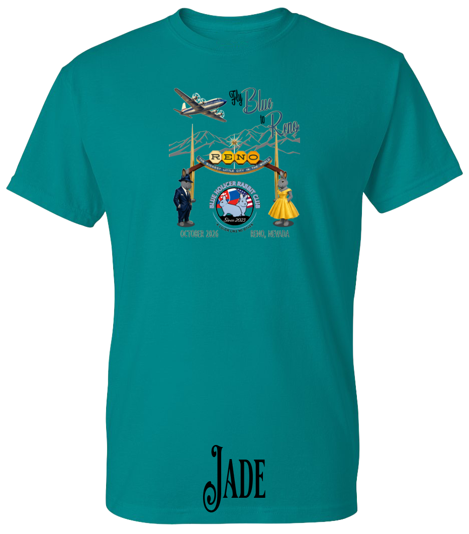 Blue Holicer Fly Blue to Reno PLUS SIZE T-Shirt
