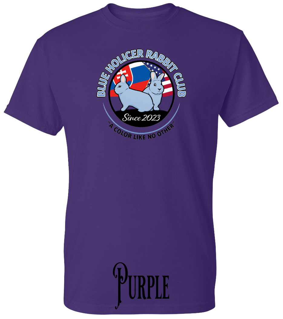 Blue Holicer Logo PLUS SIZE T-Shirt