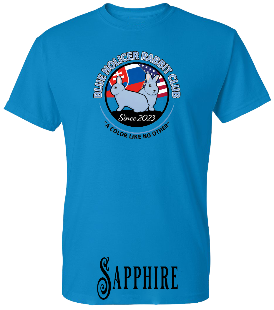 Blue Holicer Logo PLUS SIZE T-Shirt