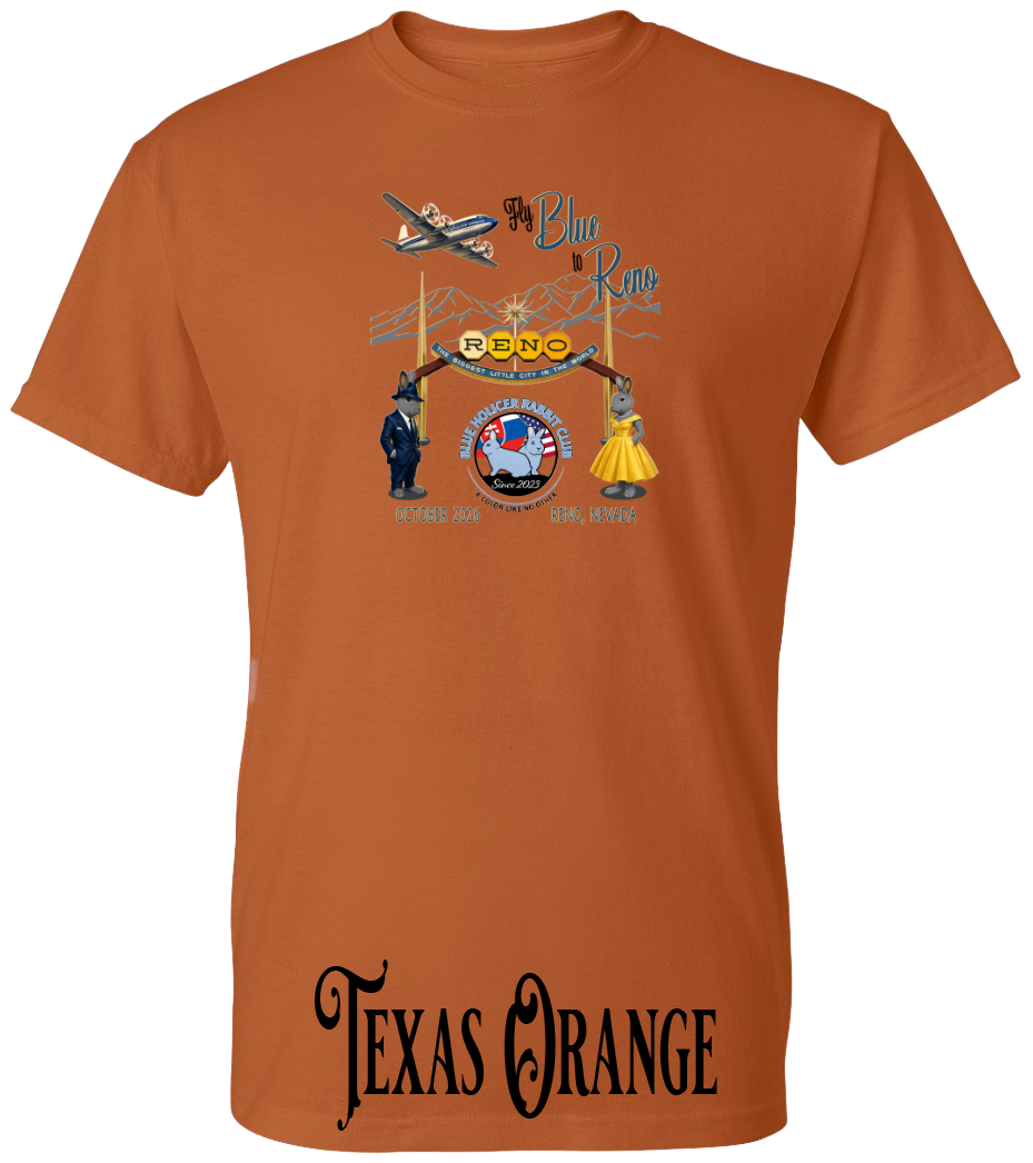 Blue Holicer Fly Blue to Reno PLUS SIZE T-Shirt