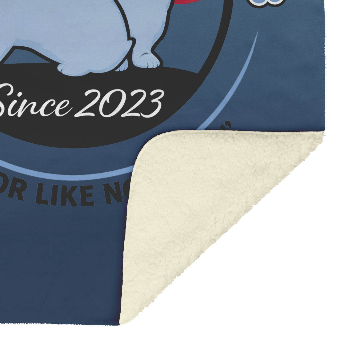 Blue_Holicer_Logo_Blanket_V_Blanket_Sherpa_Mockup.png_16226054