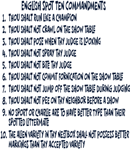 English Spot Commandments PLUS SIZE T-Shirt