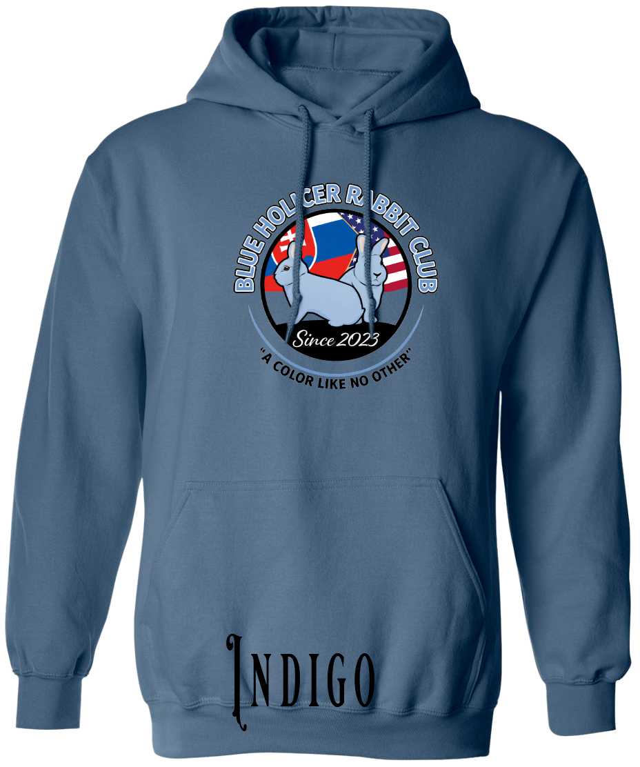 Blue Holicer Logo PLUS SIZE Hoodie