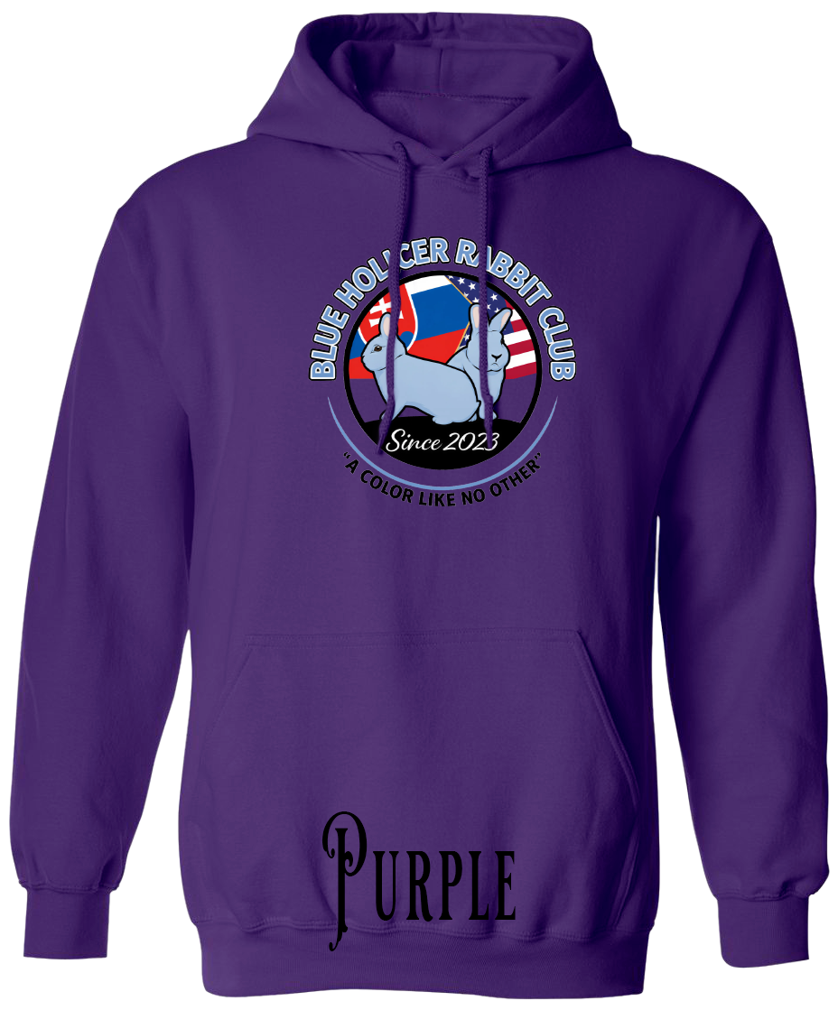 Blue Holicer Logo PLUS SIZE Hoodie