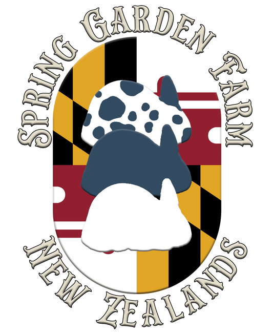 Logo Creation
