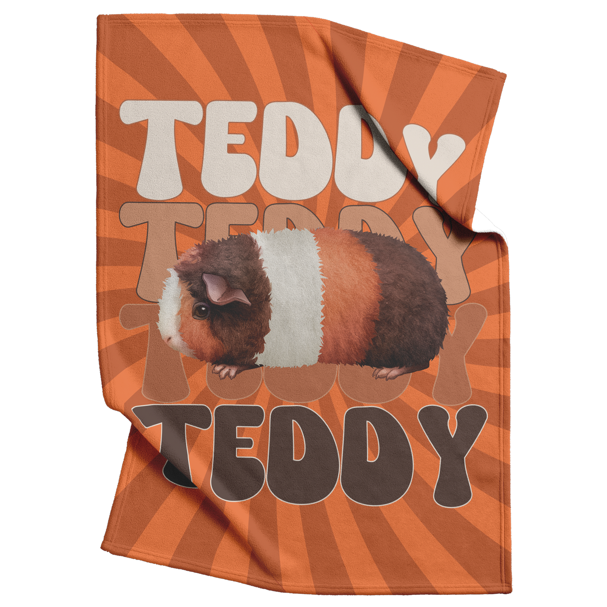Teddy_Teddy_Teddy_Blanket_V_Blanket_Top_Bottom_Folds_Mockup.png